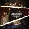 Armandinho - Outra Vida (Ao Vivo)