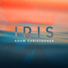 Iris (Acoustic) - Single, 2019
