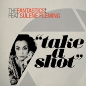 Take a Shot (feat. Sulene Fleming) [Richard Earnshaw's Little Big Extended Mix] artwork