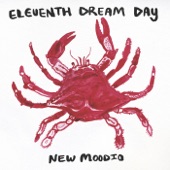 Eleventh Dream Day - Making Like a Rug