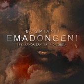 Emadongeni (feat. Zanda Zakuza & Dr Duda) artwork