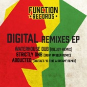 Digital - Strictly DNB (Sight Unseen Remix)