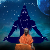 Bhagavad Gita Chanting - Swami Paramarthananda