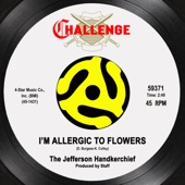 The Jefferson Handkerchief - I'm Allergic to Flowers