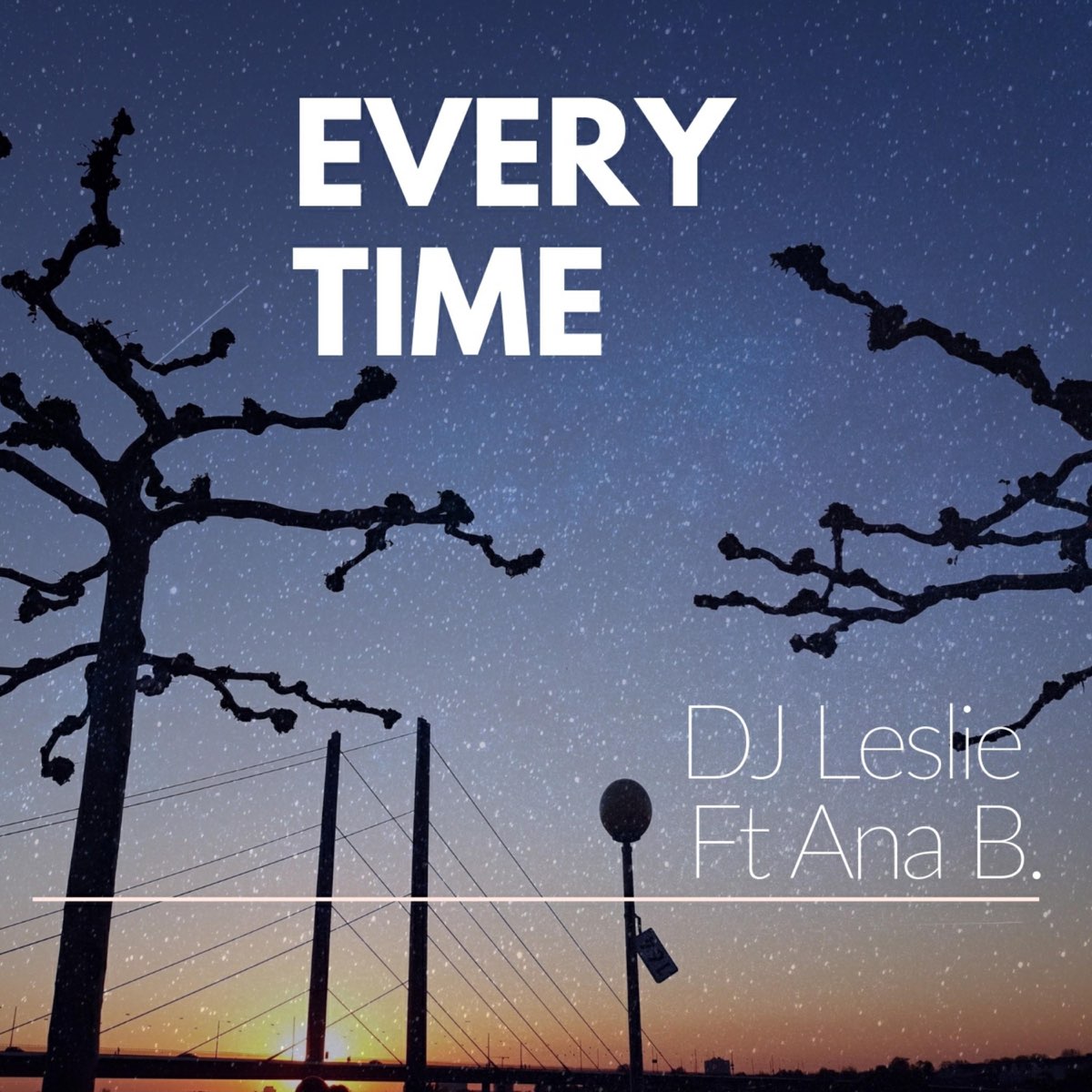 Every Time Feat Ana B Single By Dj Leslie On Apple Music