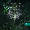 Erdenstern - Webs and Spiders