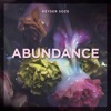 Abundance - Single