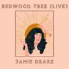 Redwood Tree (Live) [feat. Mixtape Series] - Single album lyrics, reviews, download
