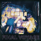 Final Voyage artwork