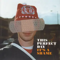 It's a Shame - Single - This Perfect Day It's a Shame - Single - This Perfect Day