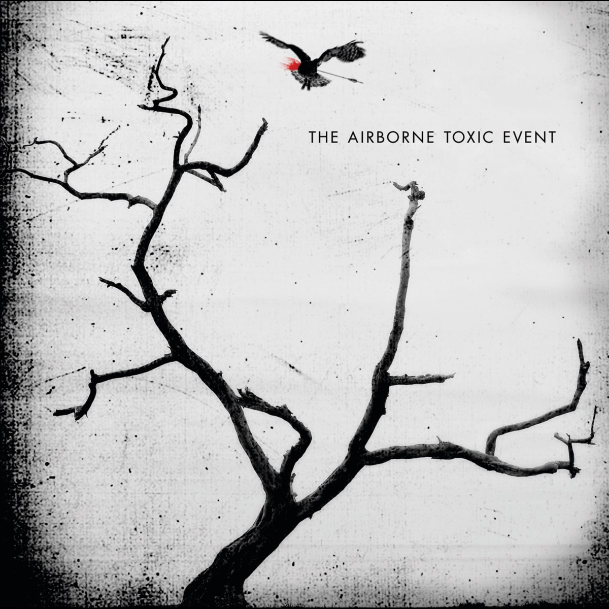 airborne toxic event timeless album torrent