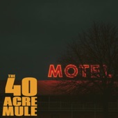 The 40 Acre Mule - You Better Run