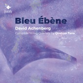 Bleu Ébène artwork