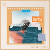 Orca artwork