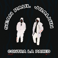 Sean Paul & J Balvin - Contra La Pared artwork