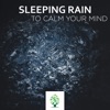 1 Hour Sleeping Rain Tracks to Calm the Mind