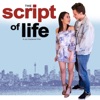 The Script of Life - Single