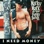 I Need Money (Radio Mix) artwork