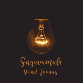 Sügavamale artwork