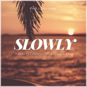 Slowly (feat. Chris Young & Stegga Bwoy) artwork