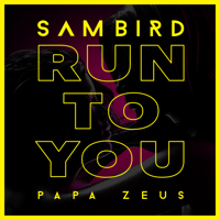 Sam Bird & Papa Zeus - Run to You artwork