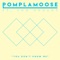 You Don't Know Me (feat. Jon Cozart) - Pomplamoose lyrics