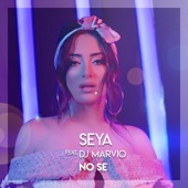 No Se (feat. DJ Marvio) artwork