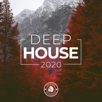 Various Artists - Deep House 2020 artwork