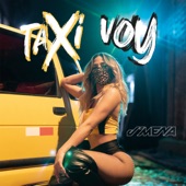 Taxi Voy artwork