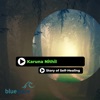 Karuna Nithil - Broken My Feeling