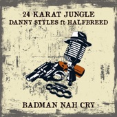 Badman Nah Cry (Dancehall Mix) artwork