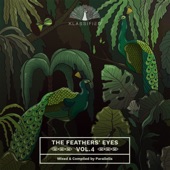 The Feathers' Eyes Vol. 4 artwork