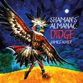 Shaman's Almanac: Didge artwork