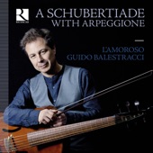 A Schubertiade with Arpeggione artwork