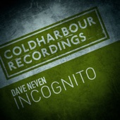 Incognito artwork