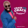 Grass to Grace - Single album lyrics, reviews, download