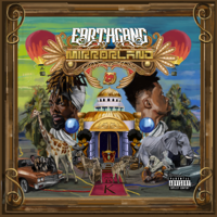 EARTHGANG - Mirrorland artwork