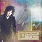 The Waterboys - An Irish Airman Foresees His Death