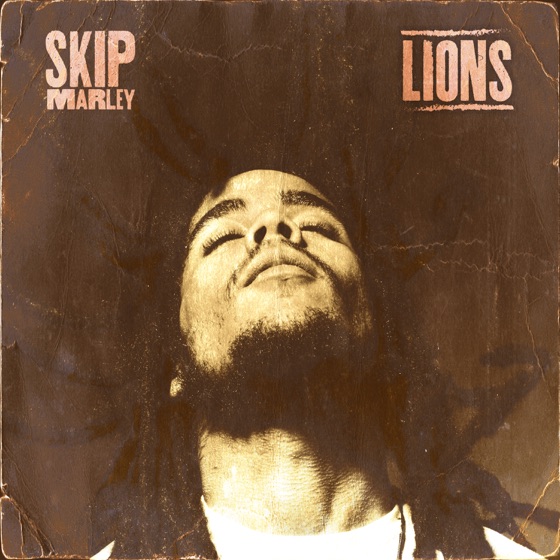 Cover artwork for Lions