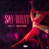 Say What artwork