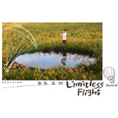 Limitless Flight artwork