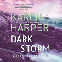 Karen Harper - Dark Storm artwork