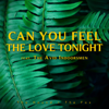 Can You Feel the Love Tonight (feat. The Avid Indoorsmen) - The Hound + The Fox