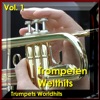Trompeten Welthits, Vol. 1 (Trumpets Worldhits) artwork