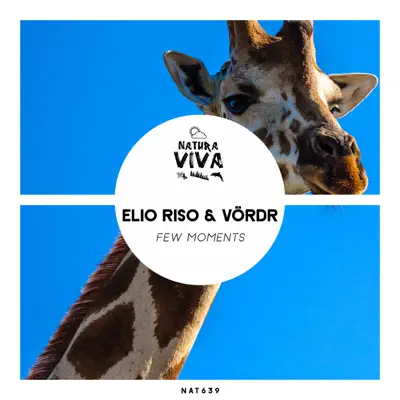 Few Moments - Single - Vordr