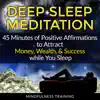 Deep Sleep Meditation: 45 Minutes of Positive Affirmations to Attract Money, Wealth, & Success While You Sleep album lyrics, reviews, download