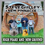 Steve Gulley and New Pinnacle - You're Gone
