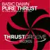 Pure Thrust (10th Anniversary Edition) album cover