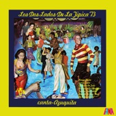 Los Dos Lados de la Típica 73 (feat. Camilo Azuquita)