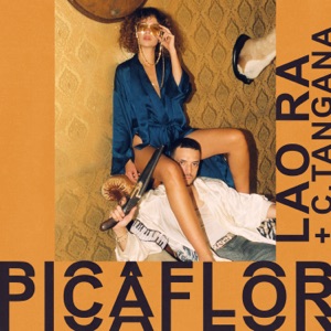 Picaflor - Single